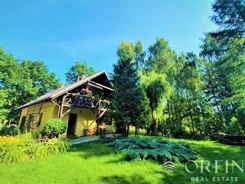 OR016927 - zdjęcie nr 0