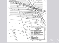 OR017336 - zdjęcie nr 1