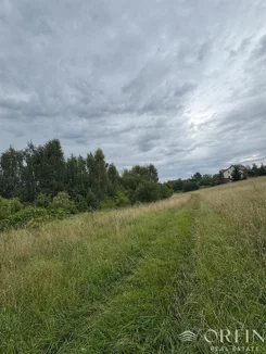 OR017176 - zdjęcie nr 2