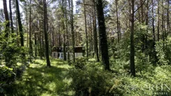 OR017044 - zdjęcie nr 4