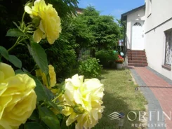 OR016952 - zdjęcie nr 0