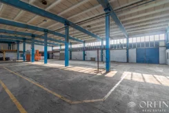 OR017318 - zdjęcie nr 4
