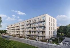 OR017272 - zdjęcie nr 4