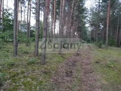 7607/3098/OGS - zdjęcie nr 2