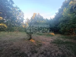 4692/3098/OGS - zdjęcie nr 1