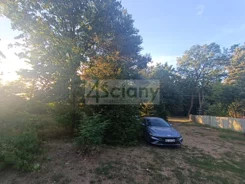 4692/3098/OGS - zdjęcie nr 2
