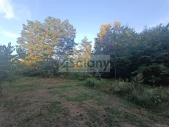 4692/3098/OGS - zdjęcie nr 3