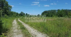6569/3098/OGS - zdjęcie nr 2