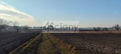 7567/3098/OGS - zdjęcie nr 3