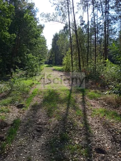 9414/3098/OGS - zdjęcie nr 0