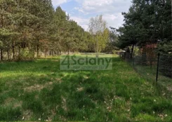10330/3098/OGS - zdjęcie nr 1