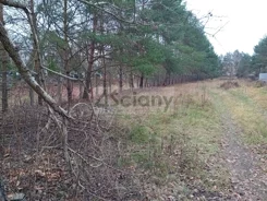 10330/3098/OGS - zdjęcie nr 4