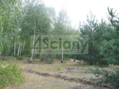 9415/3098/OGS - zdjęcie nr 1