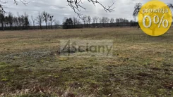 10448/3098/OGS - zdjęcie nr 5