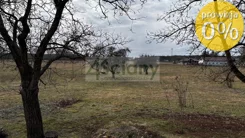 10475/3098/OGS - zdjęcie nr 3