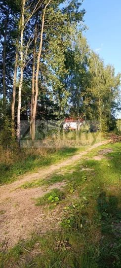 8890/3098/OGS - zdjęcie nr 3