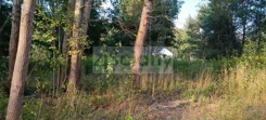 9690/3098/OGS - zdjęcie nr 0