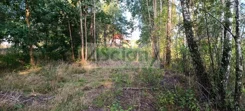 9690/3098/OGS - zdjęcie nr 2