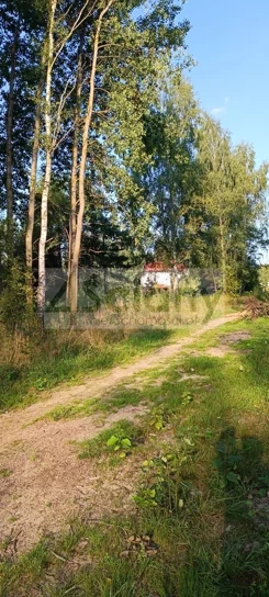 9690/3098/OGS - zdjęcie nr 3