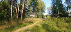 9690/3098/OGS - zdjęcie nr 5