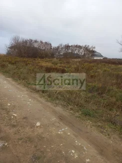 7759/3098/OGS - zdjęcie nr 1
