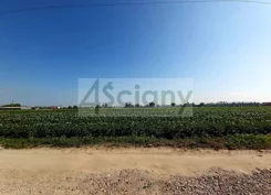 9137/3098/OGS - zdjęcie nr 1