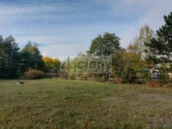 10231/3098/OGS - zdjęcie nr 2
