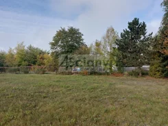 10231/3098/OGS - zdjęcie nr 3