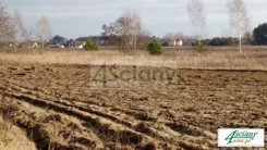 5357/3098/OGS - zdjęcie nr 1