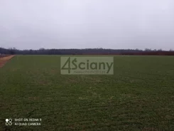 7918/3098/OGS - zdjęcie nr 3