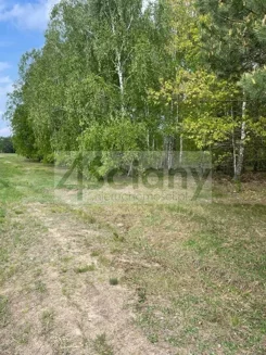 10027/3098/OGS - zdjęcie nr 1