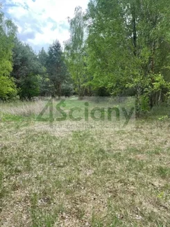 10027/3098/OGS - zdjęcie nr 2