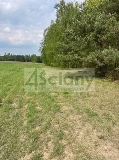 10027/3098/OGS - zdjęcie nr 3