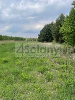 10027/3098/OGS - zdjęcie nr 4