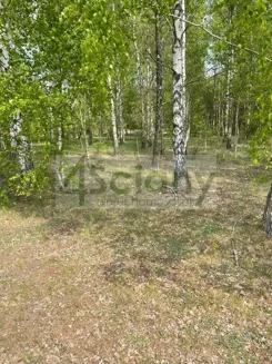 10027/3098/OGS - zdjęcie nr 5
