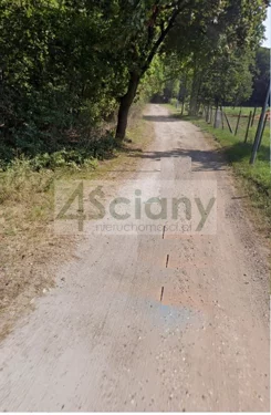 9669/3098/OGS - zdjęcie nr 2