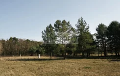 10059/3098/OGS - zdjęcie nr 2