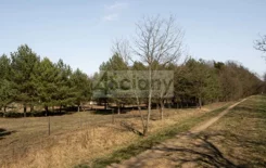 10059/3098/OGS - zdjęcie nr 3