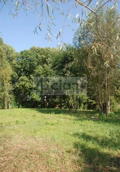 10449/3098/OGS - zdjęcie nr 3