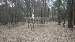 6901/3098/OGS - zdjęcie nr 3