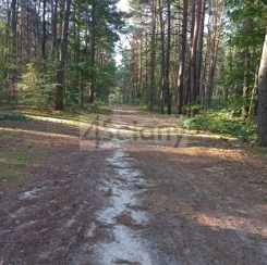 10300/3098/OGS - zdjęcie nr 0