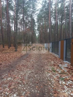 10300/3098/OGS - zdjęcie nr 1
