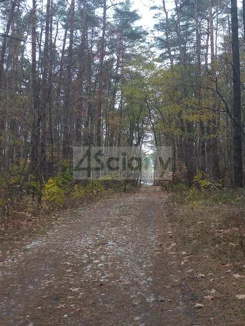 10300/3098/OGS - zdjęcie nr 4