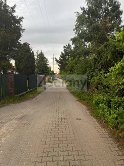 8745/3098/OGS - zdjęcie nr 4