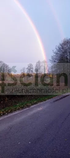10301/3098/OGS - zdjęcie nr 4