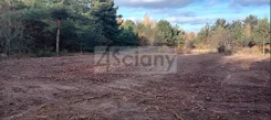 10301/3098/OGS - zdjęcie nr 5