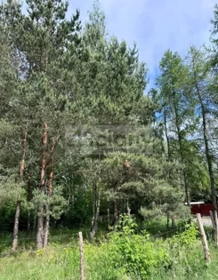 9255/3098/OGS - zdjęcie nr 1