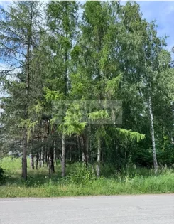 9255/3098/OGS - zdjęcie nr 2