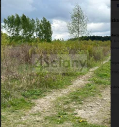 9470/3098/OGS - zdjęcie nr 1