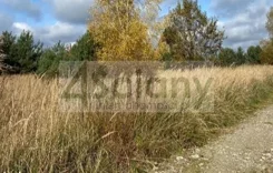 10466/3098/OGS - zdjęcie nr 1